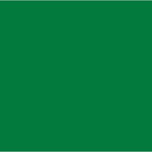 Bazic 22″ X 28″ Green Poster Board