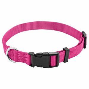 Pet Pioneer Deluxe Dog Collar 3/4”X14”-20” Lrg( colors may vary)